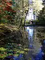 At the water lilly pond