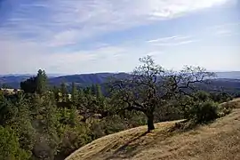 Henry W. Coe State Park in eastern Morgan Hill