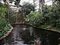 Berkenhof Tropical Zoo [nl]