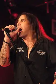 Stevens performing in 2014