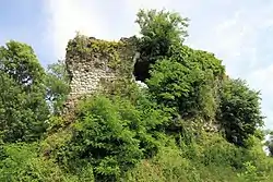 The remains of the Bagrat's Castle.