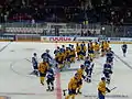 After the match between Sweden and Finland