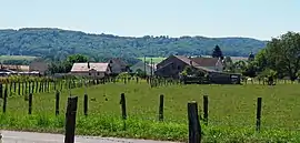 A general view of La Chapelle-lès-Luxeuil