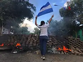 Woman with back to the camera holding flag above her head; standing in front of a collapsed stone/brick wall and flames.