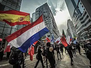 Protesters waved the flags of various countries during the protest.