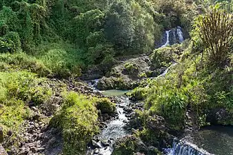 Waterfalls adjacent to Hana Highway