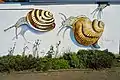 Snails by Frans Faber