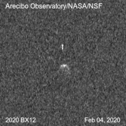 Radar images of 2020 BX12 reveal a small, elongated satellite orbiting around the spheroidal asteroid.