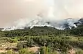 Fire growth on the southwest side of the Pine Gulch Fire on August 15.