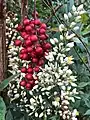 Flowers and fruit