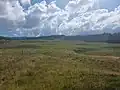 The stonefields at Tāpapakanga