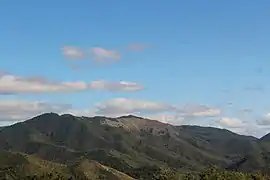 Cerro Jájome in the Guayama Research Area