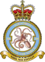 Squadron badge