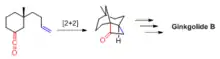Figure 3. Tethered [2+2] reaction in Corey's total synthesis of (+)  - Ginkgolide B