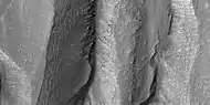 Close-up of gully alcove showing "gullygons" (polygonal patterned ground near gullies), as seen by HiRISE under HiWish program Note this is an enlargement of a previous image.