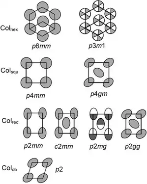 2D lattices of columnar mesogens; Colhex, Colsqu, Colrec and Colob stand for hexagonal, square, rectangular and oblique.