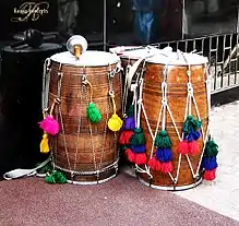 Iranian instrument dohol