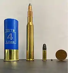 Left to right: 12 gauge, 7x64mm, 22lr, 2mm Pinfire and a coin for scale
