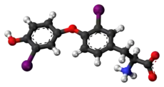 Ball-and-stick model of the 3,3'-diiodothyronine molecule as a zwitterion