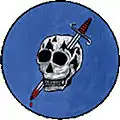 363rd Fighter Squadron, United States.