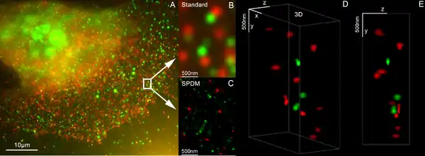 3D Dual Color Super Resolution Microscopy Cremer from 2010