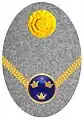 Badge m/14 for fur cap