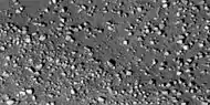 Close view of boulders along crater rim  Boulders are roughly the size of cars or small houses.  Picture taken with HiRISE under HiWish program.