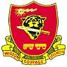 55th Engineer Battalion"Wisdom Courage Strength"