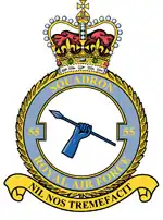 Squadron badge