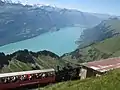 View of Lake Brienz and Interlaken in the background