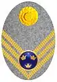 Badge m/14 for fur cap