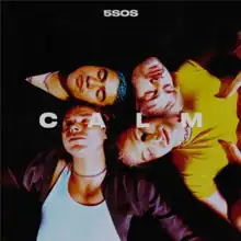 A picture of all 5 Seconds of Summer members laying down on a black blanket hanging out with the word "5SOS" which is the short way to say "5 Seconds of Summer" and we see the letters "C A L M" underneath.
