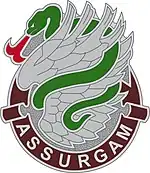 326th Medical battalion"Assurgam" (I Rise Up)