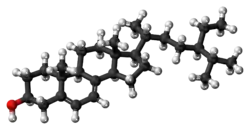Ball-and-stick model of 7-dehydroepisterol