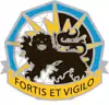 709th Military Intelligence Battalion"Fortis et Vigilio"(Strong and Vigilant)