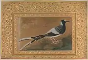 Spotted forktail by Abu al-Hasan (Mughal painter)