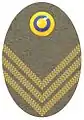 Badge m/40 to field cap