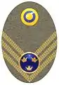 Badge m/46 to field cap