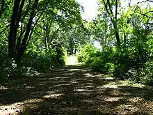 Maples Mound Group