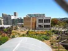 999 Eddy Street community garden in 2012