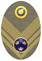 Hat badge (Mössmärke m/1946) for a lieutenant colonel in the army.