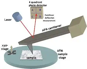 Typical atomic force microscopy set-up