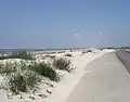 The beach between Johnson Bayou and Holly Beach prior to Hurricane Rita in 2005