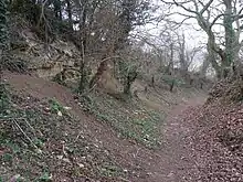 Stonesfield Common, Bottoms and Banks