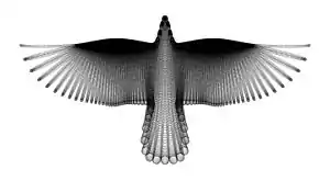 A Bird in Flight, by Hamid Naderi Yeganeh, 2016, constructed with a family of mathematical curves.