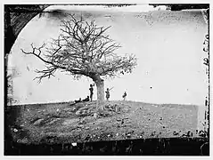 "A Lonely Grave"—Federal grave at Antietam, by Alexander Gardner