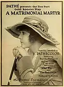 A Matrimonial Martyr (1916)