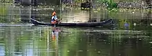 A villager using a wooden boat to travel through the backwaters of Allapuzha, Kerala.