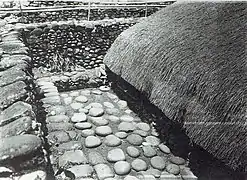 A house and its surroundings in a Tao tribe