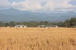 Light-coloured fields of grain near large mountains